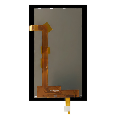 Display TFT da 5 pollici Produttore, tipo ritratto Display TFT PCAP da 5 pollici