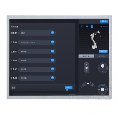 Alta luminosità 1000nits 12,1 pollici IPS TFT LCD Display 1024*768 punti Interfaccia LVDS
