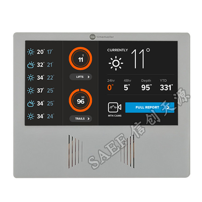 1024x600 punteggia l'angolo di visione completo di IPS di TFT LCD del modulo dei perni a 7 pollici di tocco 50